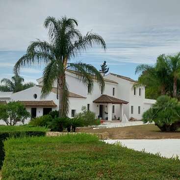 The image depicts a large white house with a brown tiled roof, surrounded by palm trees and lush greenery, set against a cloudy sky.