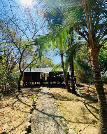 The image depicts a serene tropical setting, featuring a small wooden hut with a corrugated metal roof, surrounded by palm trees and lush vegetation on a sunny day.
