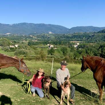 The image depicts a serene scene of a man and woman kneeling with their dogs in a lush field, surrounded by two horses and a picturesque landscape under a clear blue sky.