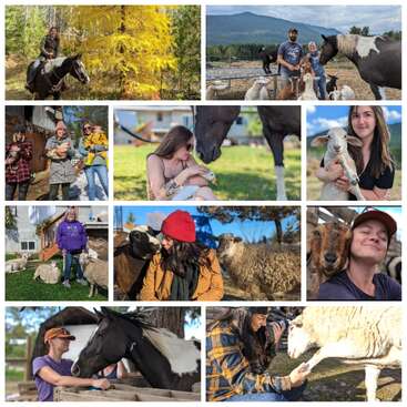 The image is a collage of nine photos featuring people interacting with horses and sheep on a farm, showcasing a peaceful and harmonious relationship between humans and animals.