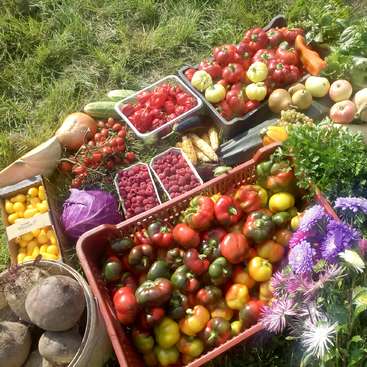 The image depicts a vibrant assortment of fresh produce and flowers arranged on a lush grassy surface, showcasing a colorful and healthy spread.