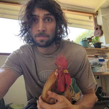 The image depicts a man holding a rooster, with a window and shelf in the background, featuring a guitar and potted plants, set against a bright and sunny day.