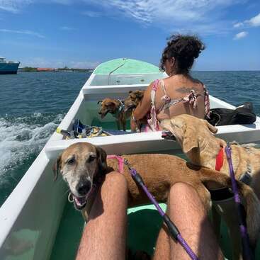 A woman with tattoos sits in a small white boat on the water, surrounded by four brown dogs, with a blue sky and calm sea in the background.