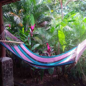 The image depicts a hammock suspended between two wooden posts, set against a backdrop of lush tropical foliage. The hammock features a vibrant pink and blue striped pattern.