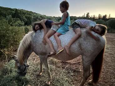 The image depicts three children riding a horse in a field, with the horse grazing on grass. The children are lying on the horse's back.